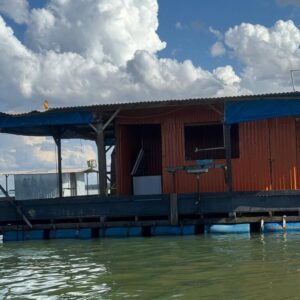 Casa Flutuante Pássaro Preto
