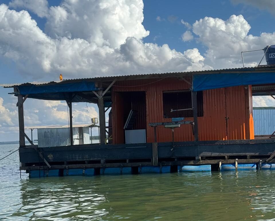 Imagem do WhatsApp de 2025-04-14 à(s) 15.31.33_630216da